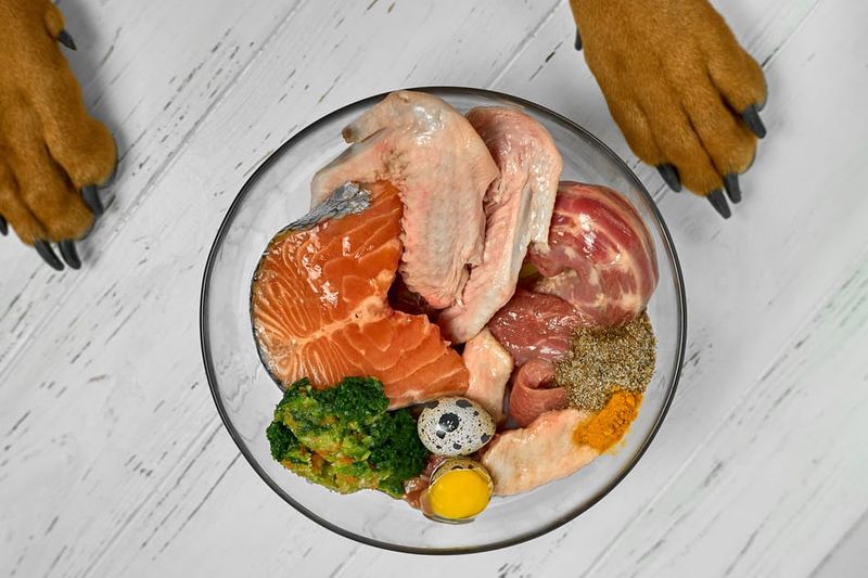 Diet and Nutrition