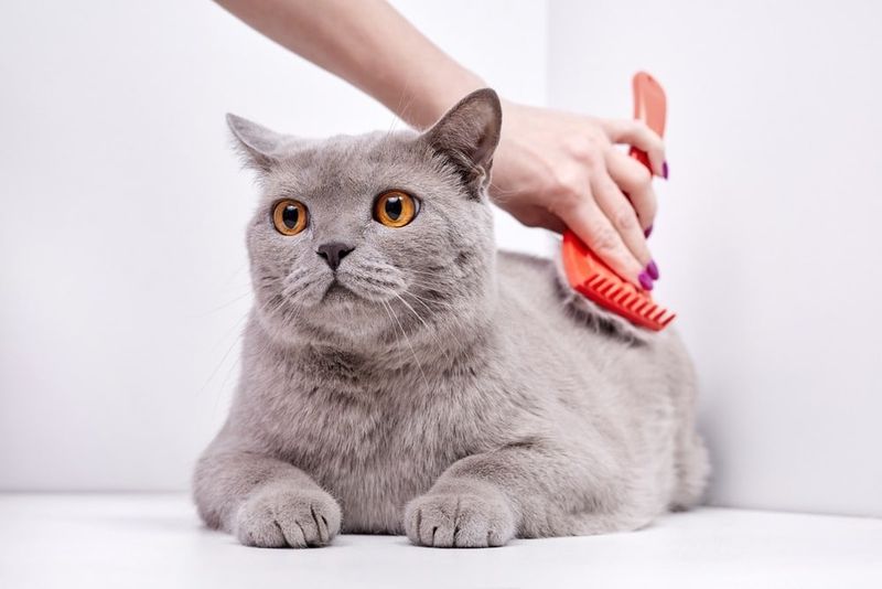 Easy Grooming