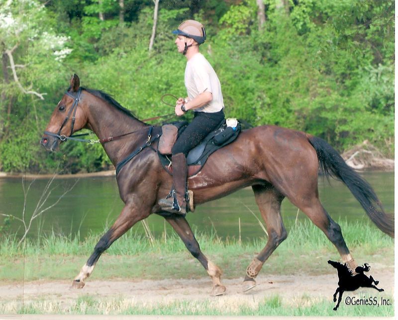 Endurance Champion