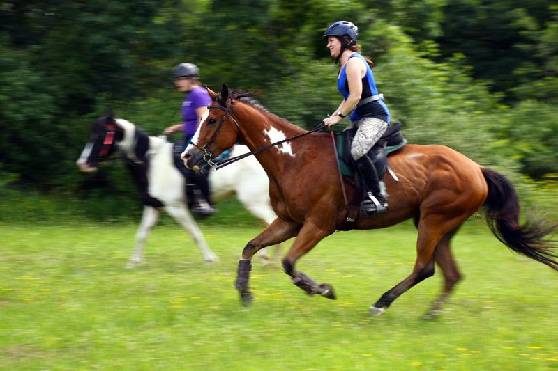 Endurance Riding