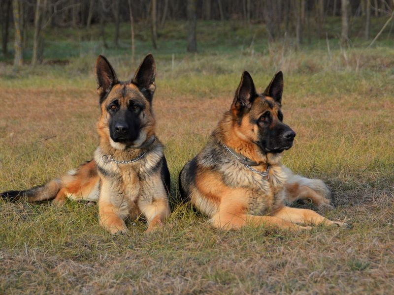 Enhanced Security
