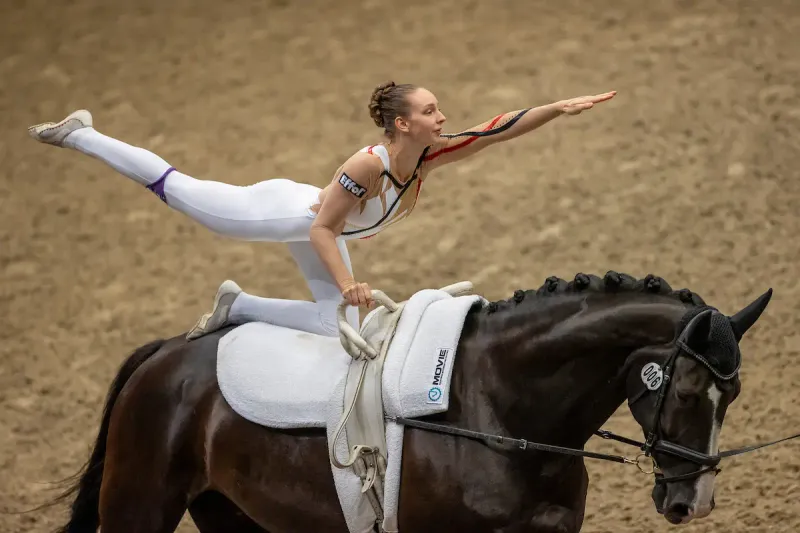 Equestrian Vaulting