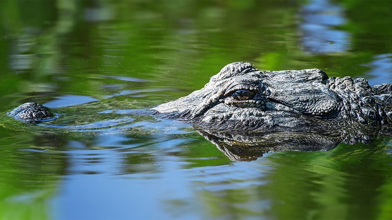Everglades National Park