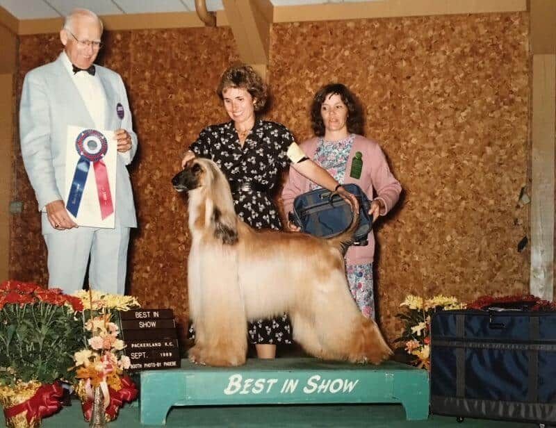 Exhibition and Competitions