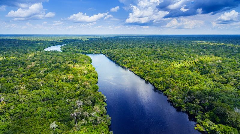 Exploring the Amazon Rainforest, Brazil