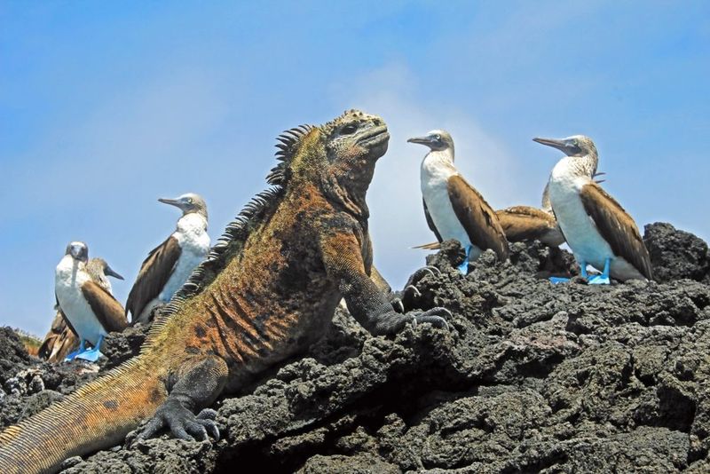 Galápagos National Park