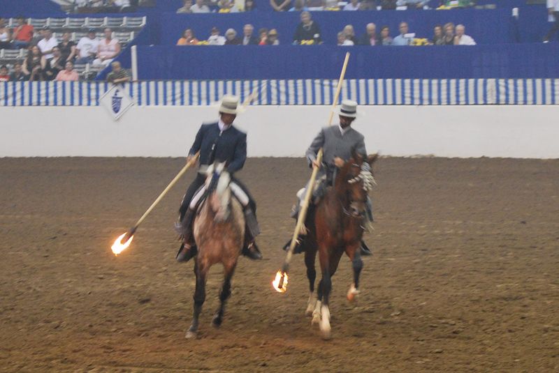 Garrocha
