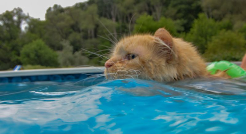 Gentle Bathing