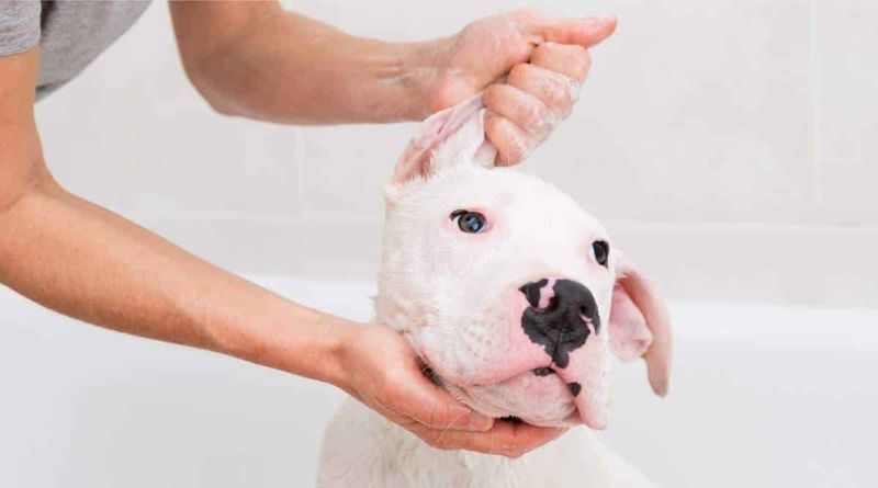 Grooming Requirements
