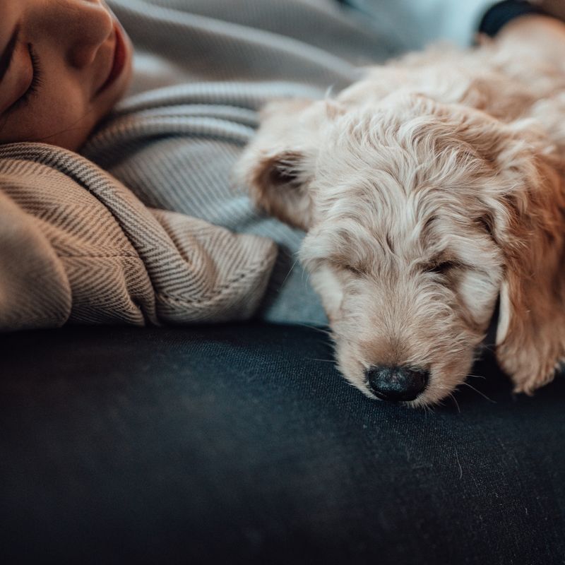 Guarding While You Sleep