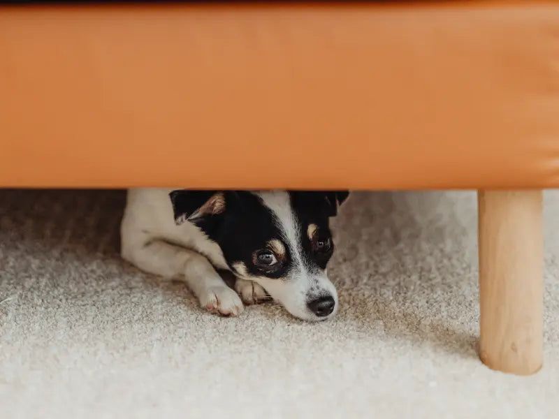 Hiding Frequently