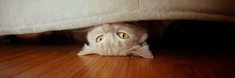 Hiding More Than Usual
