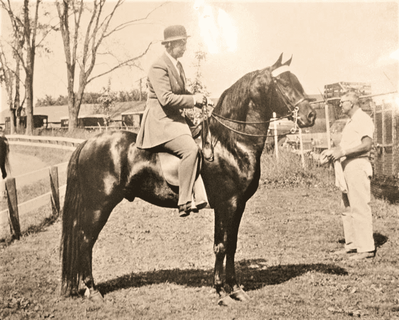 Historical Heroes