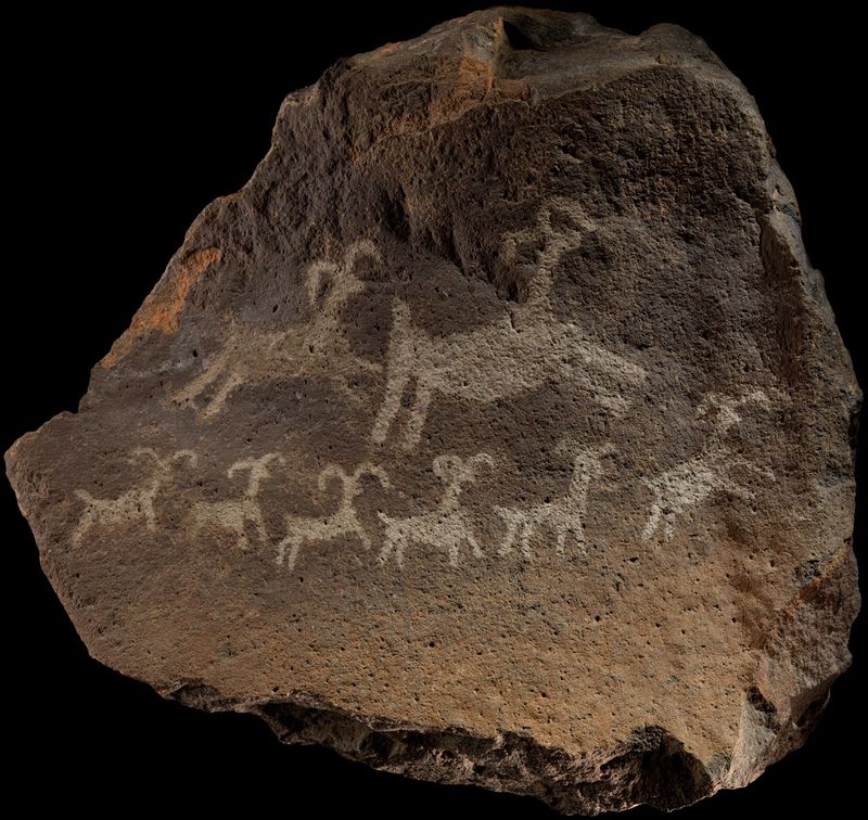 Historical Significance of Bighorn Sheep