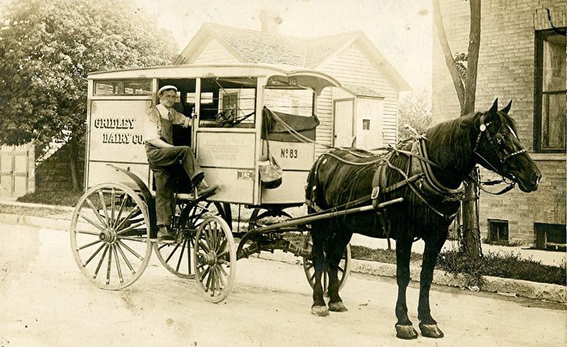 Horse-drawn Milkman