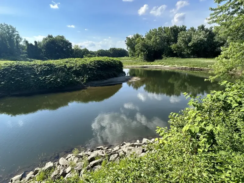 Ideal Water Conditions