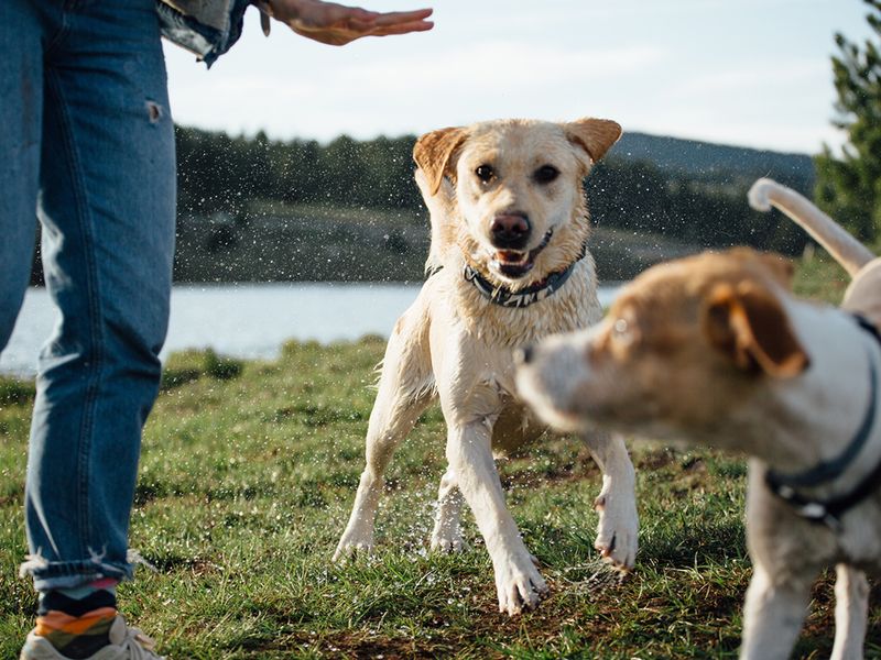 Ignoring Bad Behavior Completely