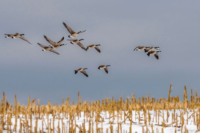 Ignoring Seasonal Patterns