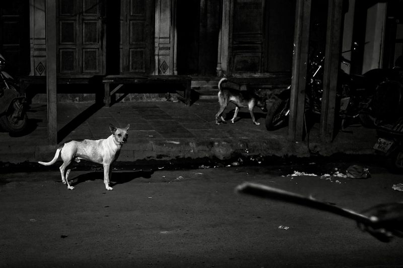 In Alleyways