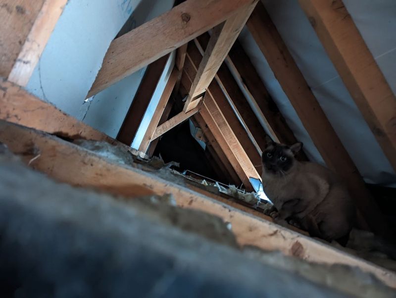 In the Attic