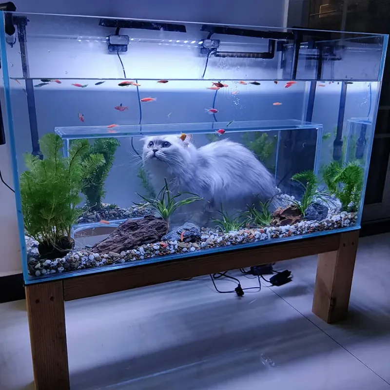 Inside the Aquarium Stand