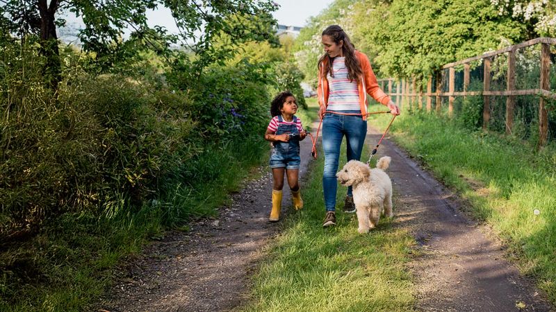 Introduce New Walking Routes