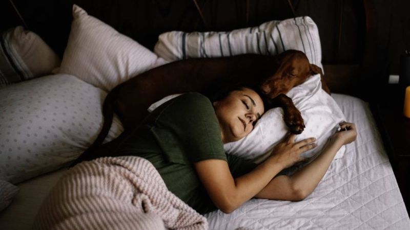 Is it okay to let my dog sleep in my bed?