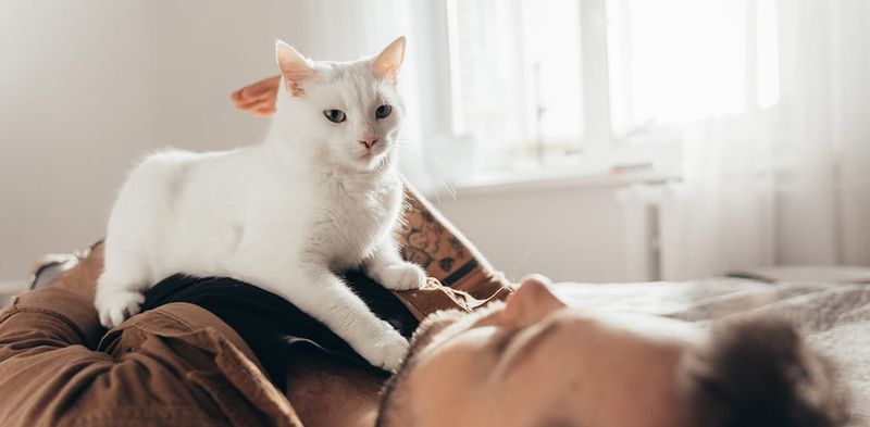 Kneading