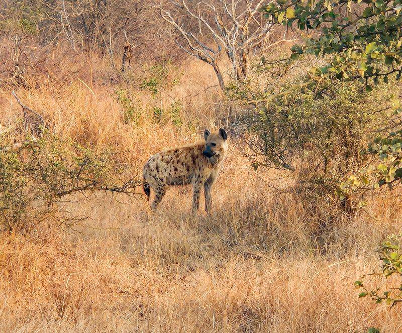 Kruger National Park