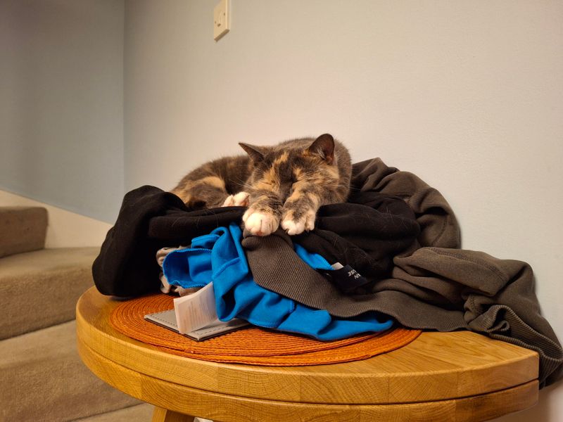 Laundry Pile Paradise