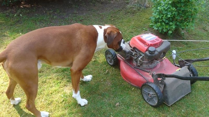 Lawnmowers