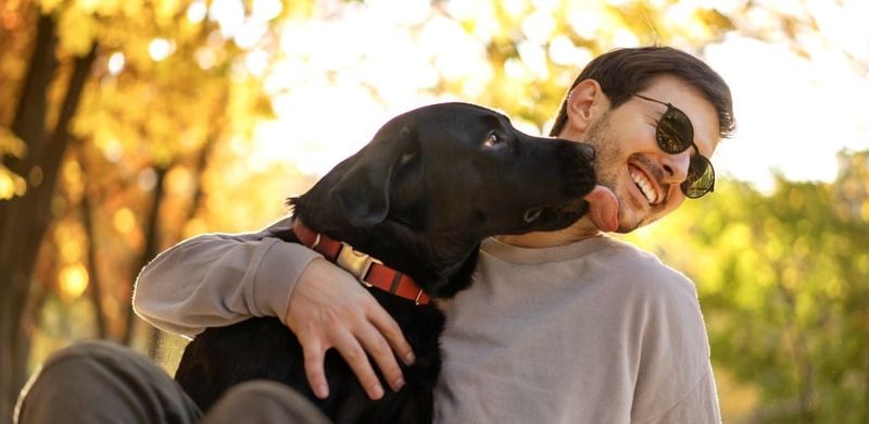 Licking Your Face