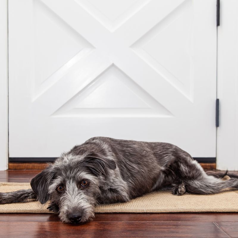 Lying Near Doors