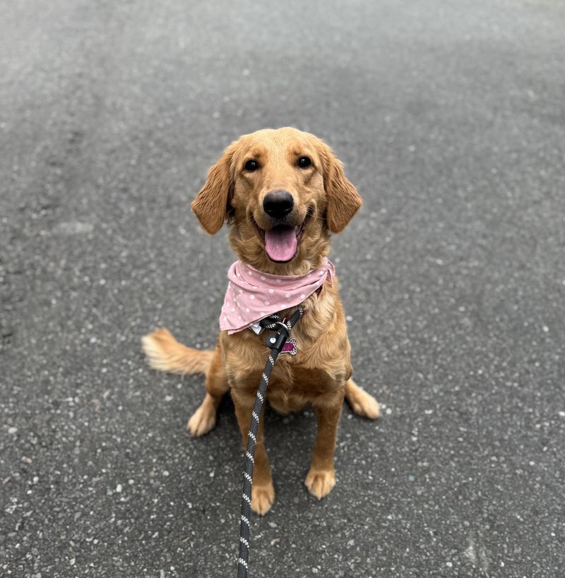 Molly the Caregiver
