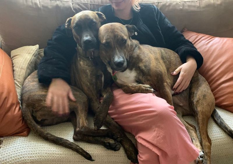 More Love and Joy