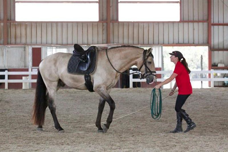 Mutual Respect in Training