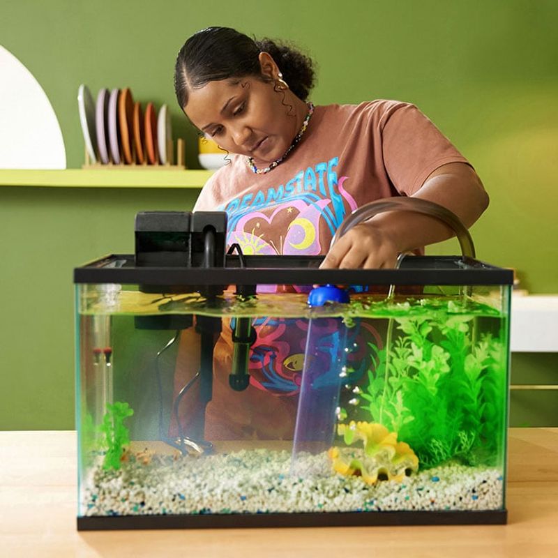 Myth: Fish Tanks Clean Themselves