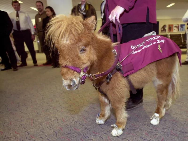 Myth: Only Dogs Can Be Service Animals