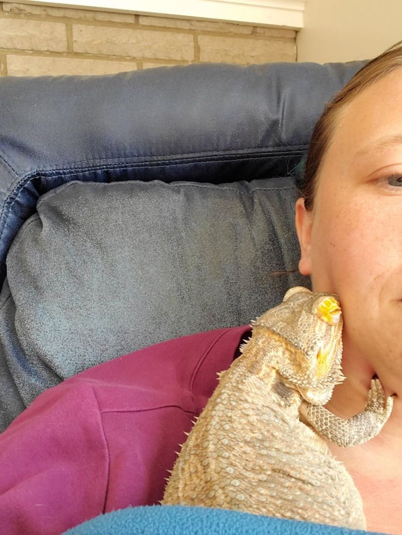 Myth: Pet Reptiles Don't Show Affection