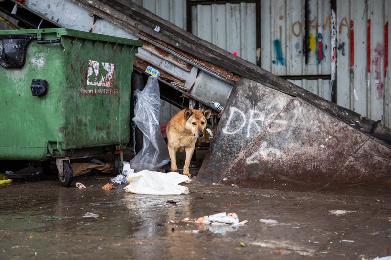 Near Dumpster Areas