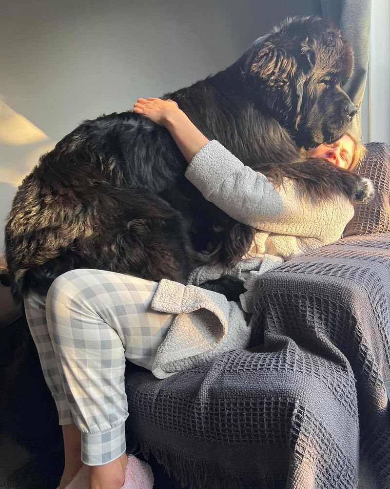 Newfoundland