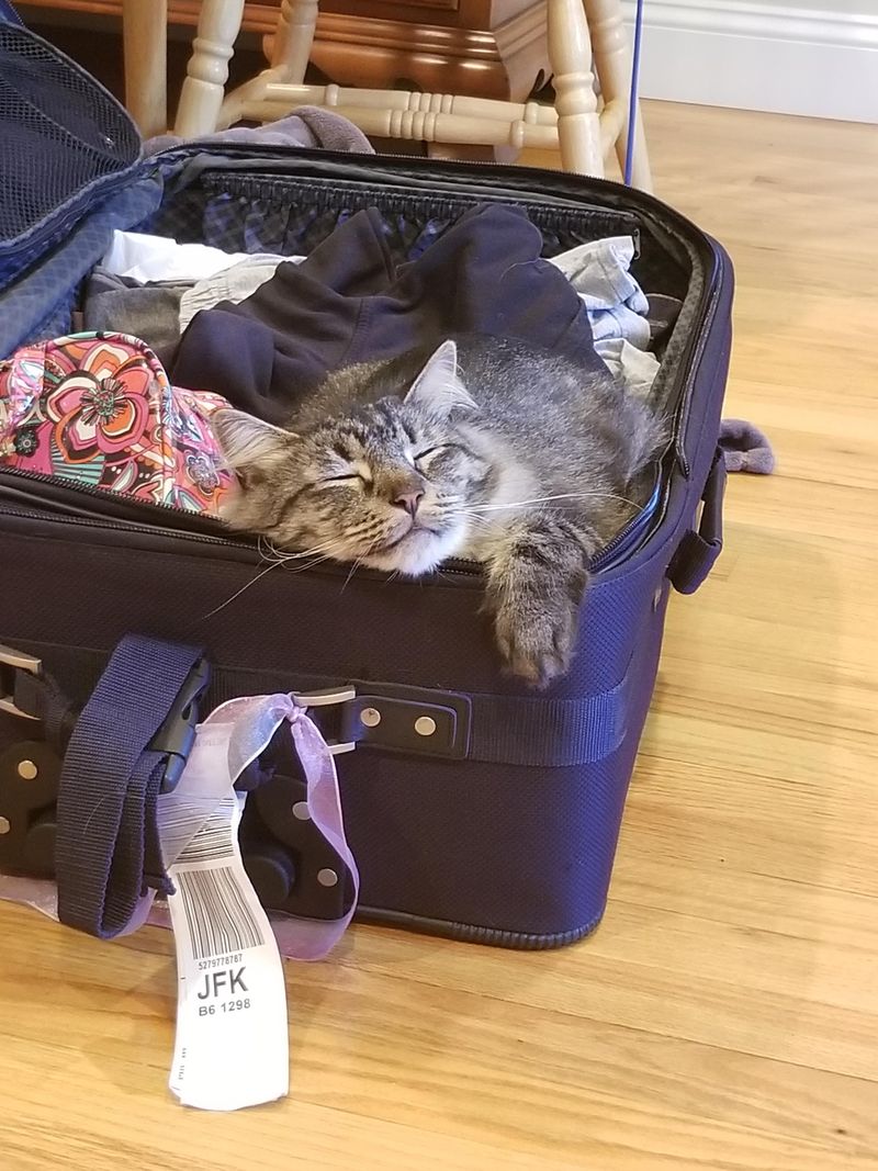 Open Suitcase Adventure