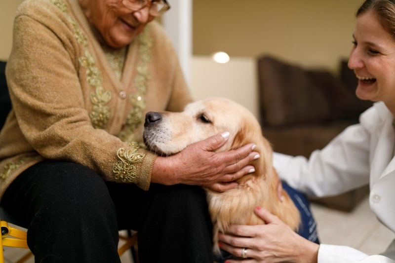 Owner's Patience and Understanding