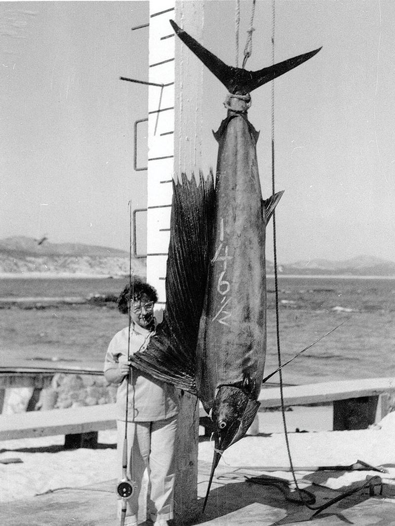 Pacific Sailfish