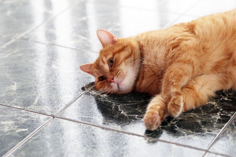 Pancreatitis