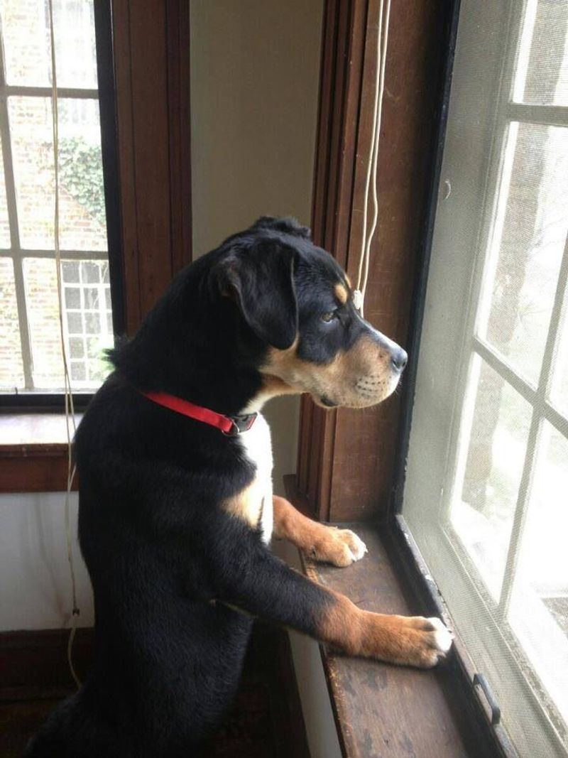 Patiently Waiting
