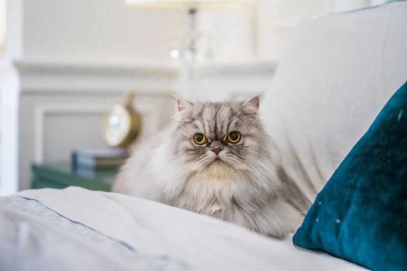 Persian