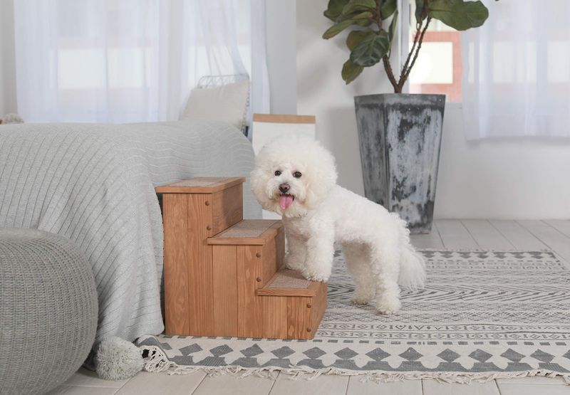 Pet Staircase Storage