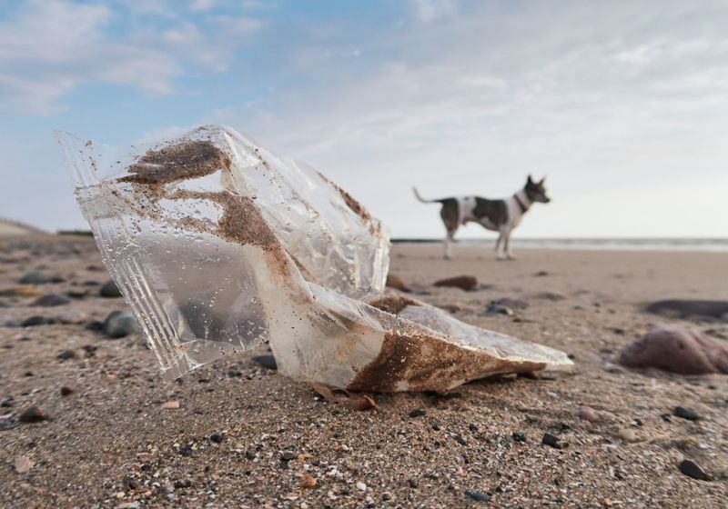Plastic Bags