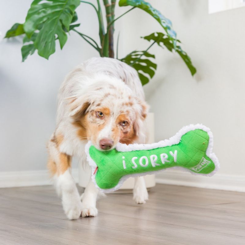 Playful Distraction